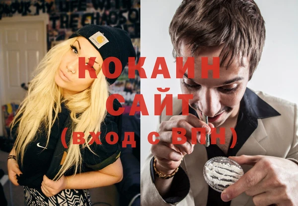 крисы Балахна